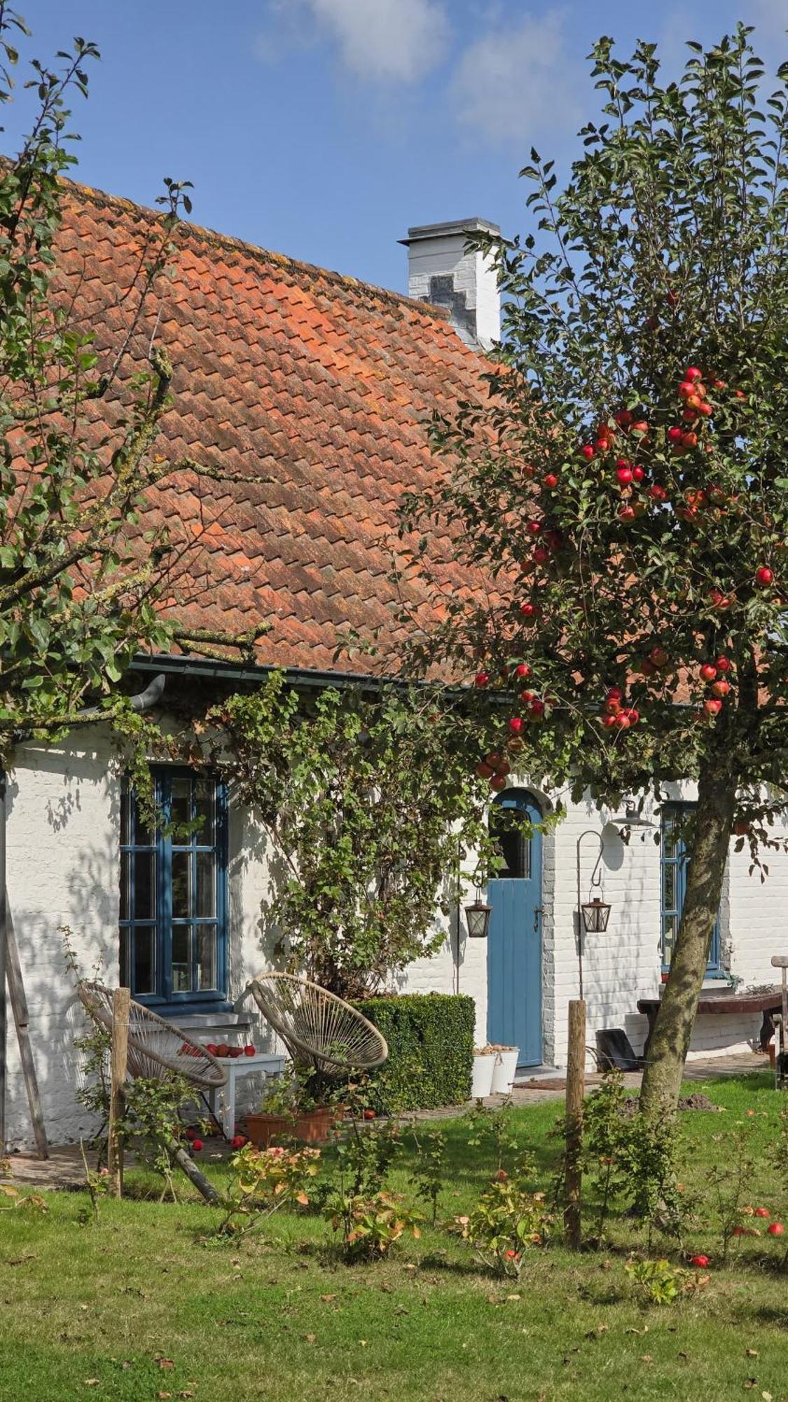 Boutique B&B Droomkerke Ruiselede Extérieur photo